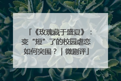 《玫瑰藏于盛夏》：变“短”了的校园虐恋如何突围？｜微剧评