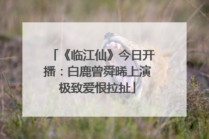 《临江仙》今日开播：白鹿曾舜晞上演极致爱恨拉扯