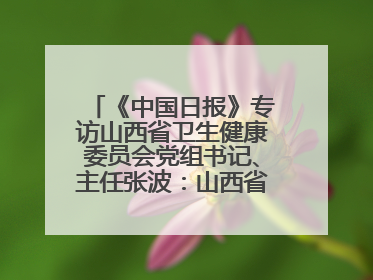 《中国日报》专访山西省卫生健康委员会党组书记、主任张波：山西省加强援外医疗工作 构建中非卫生健康共同体