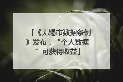 《无锡市数据条例》发布，“个人数据”可获得收益