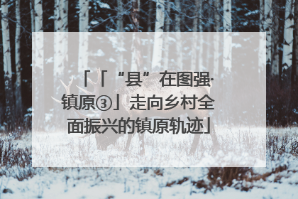 「“县”在图强·镇原③」走向乡村全面振兴的镇原轨迹