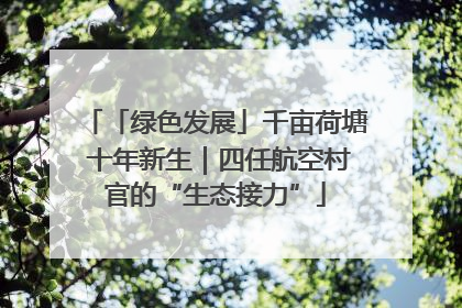 「绿色发展」千亩荷塘 十年新生｜四任航空村官的“生态接力”