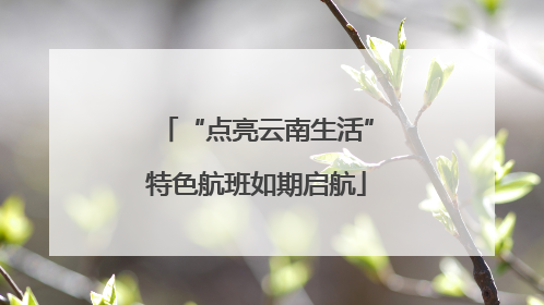“点亮云南生活”特色航班如期启航