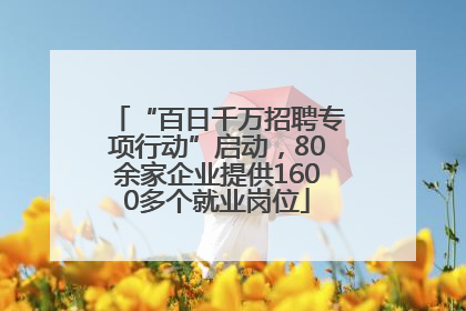 “百日千万招聘专项行动”启动，80余家企业提供1600多个就业岗位