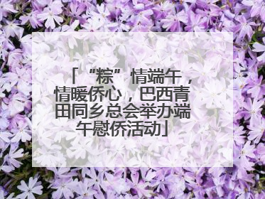 “粽”情端午，情暖侨心，巴西青田同乡总会举办端午慰侨活动