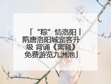 “粽”情洛阳丨隋唐洛阳城宠客升级 背诵《离骚》免费游览九洲池