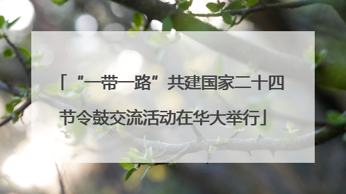 “一带一路”共建国家二十四节令鼓交流活动在华大举行