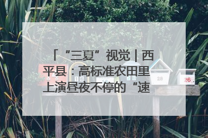 “三夏”视觉｜西平县：高标准农田里上演昼夜不停的“速度与激情”