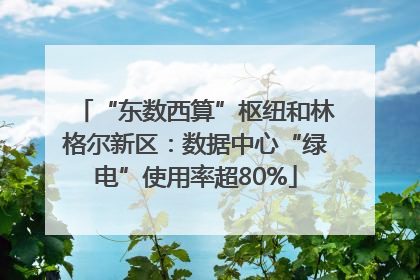 “东数西算”枢纽和林格尔新区：数据中心“绿电”使用率超80%