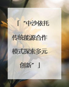 “中沙依托传统能源合作模式探索多元创新”