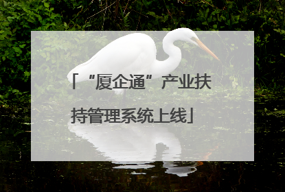 “厦企通”产业扶持管理系统上线