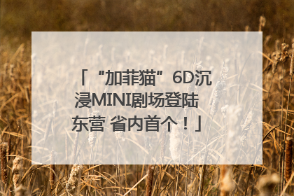 “加菲猫”6D沉浸MINI剧场登陆东营 省内首个！