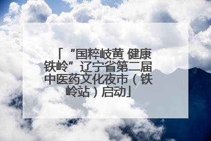 “国粹岐黄 健康铁岭”辽宁省第二届中医药文化夜市（铁岭站）启动