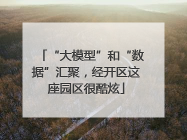 “大模型”和“数据”汇聚，经开区这座园区很酷炫