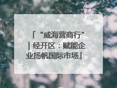 “威海营商行”｜经开区：赋能企业扬帆国际市场