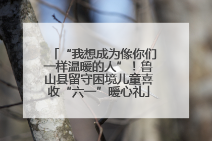 “我想成为像你们一样温暖的人”！鲁山县留守困境儿童喜收“六一”暖心礼