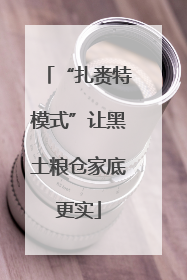 “扎赉特模式”让黑土粮仓家底更实