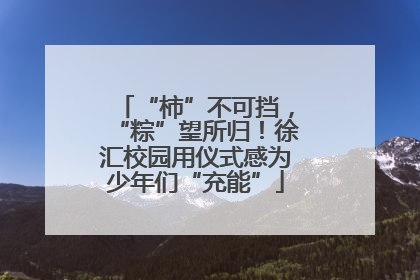 “柿”不可挡，“粽”望所归！徐汇校园用仪式感为少年们“充能”