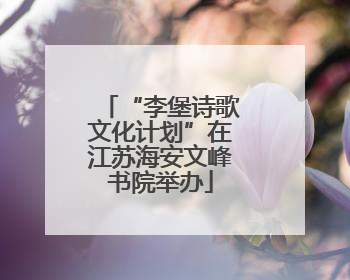 “李堡诗歌文化计划”在江苏海安文峰书院举办