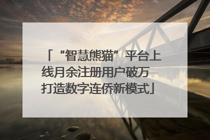 “智慧熊猫”平台上线月余注册用户破万 打造数字连侨新模式