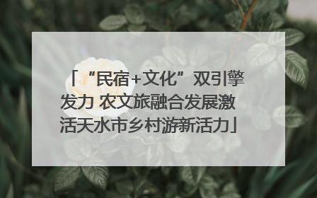 “民宿+文化”双引擎发力 农文旅融合发展激活天水市乡村游新活力