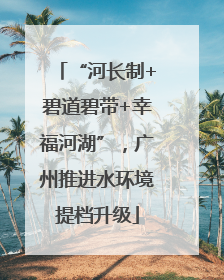 “河长制+碧道碧带+幸福河湖”，广州推进水环境提档升级