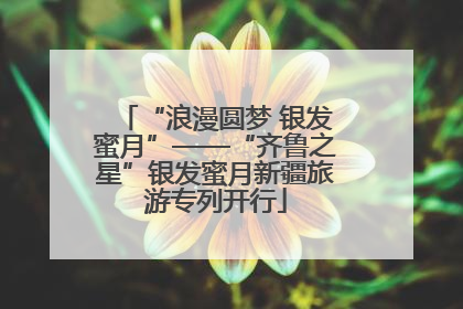 “浪漫圆梦 银发蜜月”——“齐鲁之星”银发蜜月新疆旅游专列开行