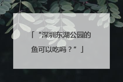 “深圳东湖公园的鱼可以吃吗？”