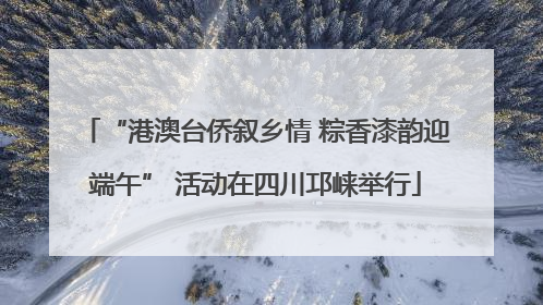 “港澳台侨叙乡情 粽香漆韵迎端午” 活动在四川邛崃举行