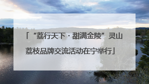 “荔行天下・甜满金陵”灵山荔枝品牌交流活动在宁举行