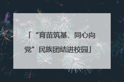 “育苗筑基、同心向党”民族团结进校园