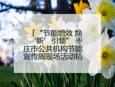 “节能增效 焕‘新’引领” 枣庄市公共机构节能宣传周现场活动精彩纷呈