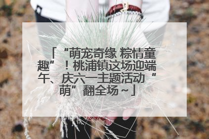 “萌宠奇缘 粽情童趣”！桃浦镇这场迎端午、庆六一主题活动“萌”翻全场～