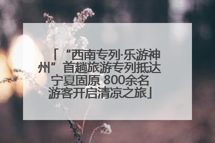 “西南专列·乐游神州”首趟旅游专列抵达宁夏固原 800余名游客开启清凉之旅