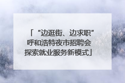 “边逛街、边求职” 呼和浩特夜市招聘会探索就业服务新模式