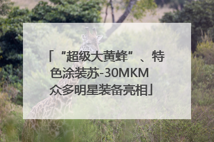 “超级大黄蜂”、特色涂装苏-30MKM 众多明星装备亮相