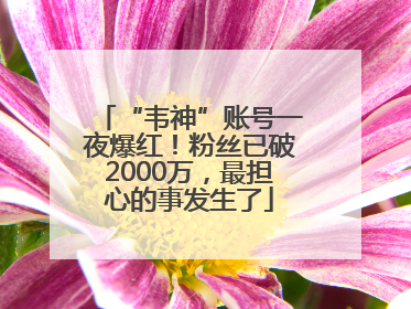 “韦神”账号一夜爆红！粉丝已破2000万，最担心的事发生了