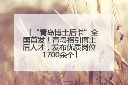 “青岛博士后卡”全国首发！青岛招引博士后人才，发布优质岗位1700余个