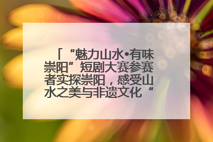 “魅力山水•有味崇阳”短剧大赛参赛者实探崇阳，感受山水之美与非遗文化“提琴戏”魅力
