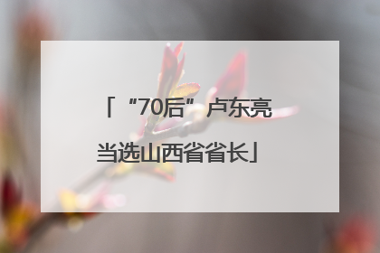 “70后”卢东亮当选山西省省长