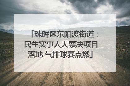 珠晖区东阳渡街道：民生实事人大票决项目落地 气排球赛点燃
