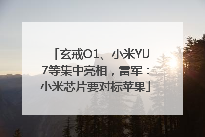 玄戒O1、小米YU7等集中亮相，雷军：小米芯片要对标苹果