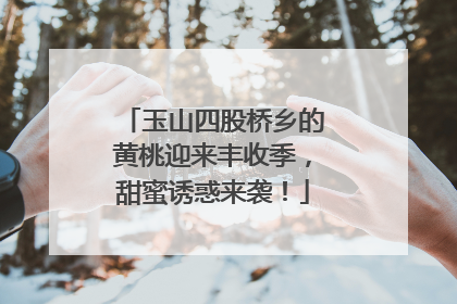 玉山四股桥乡的黄桃迎来丰收季，甜蜜诱惑来袭！