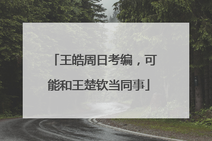王皓周日考编，可能和王楚钦当同事