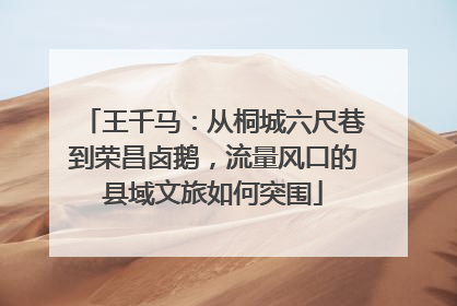 王千马：从桐城六尺巷到荣昌卤鹅，流量风口的县域文旅如何突围