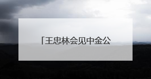 王忠林会见中金公司董事长陈亮 持续深化务实合作 做强支点建设金融支撑