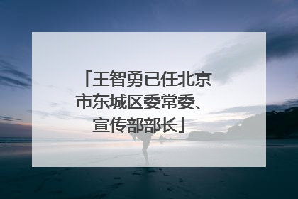王智勇已任北京市东城区委常委、宣传部部长
