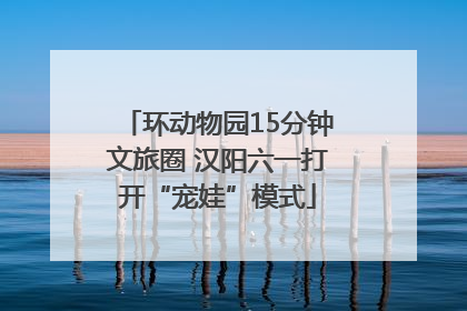 环动物园15分钟文旅圈 汉阳六一打开“宠娃”模式