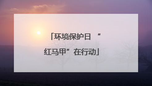 环境保护日 “红马甲”在行动