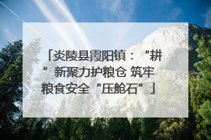 炎陵县霞阳镇：“耕”新聚力护粮仓 筑牢粮食安全“压舱石”